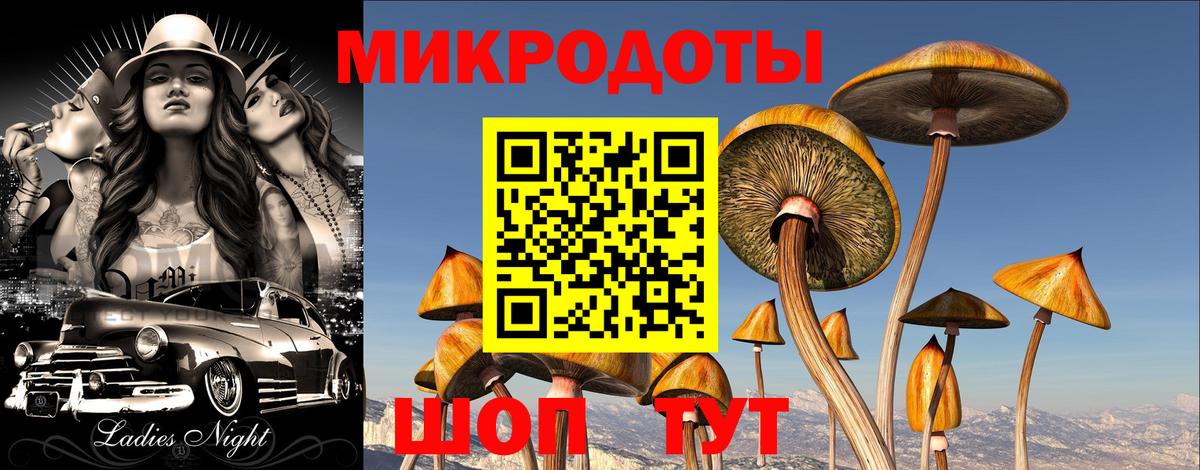 ГАШ Учалы
