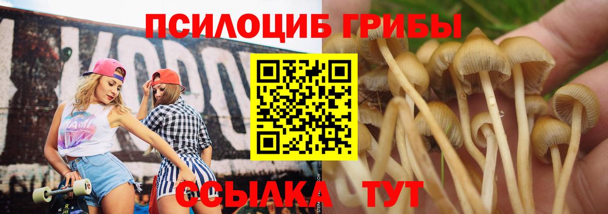 Учалы  Псилоцибиновые грибы мухоморы  Вход с VPN 
